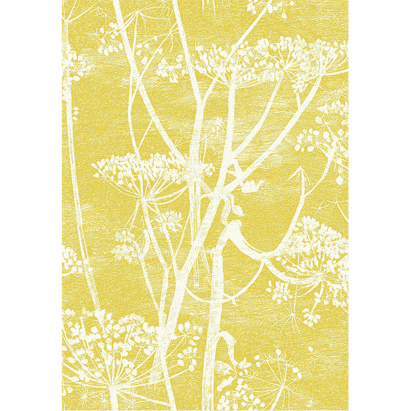 Carta da Parati "COW PARSLEY BIANCO & GIALLO OCRA" The Contemporary | COLE & SON