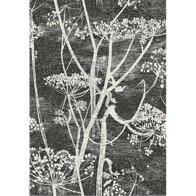 Carta da Parati "COW PARSLEY BIANCO & NERO" The Contemporary | COLE & SON