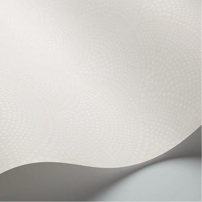Carta da Parati "FEATHER FAN BIANCO & AVORIO" The Contemporary | COLE & SON