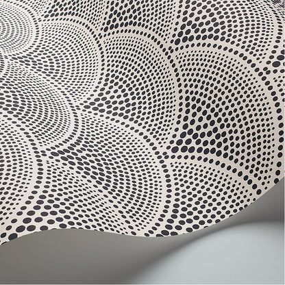 Carta da Parati "FEATHER FAN BIANCO & NERO" The Contemporary | COLE & SON