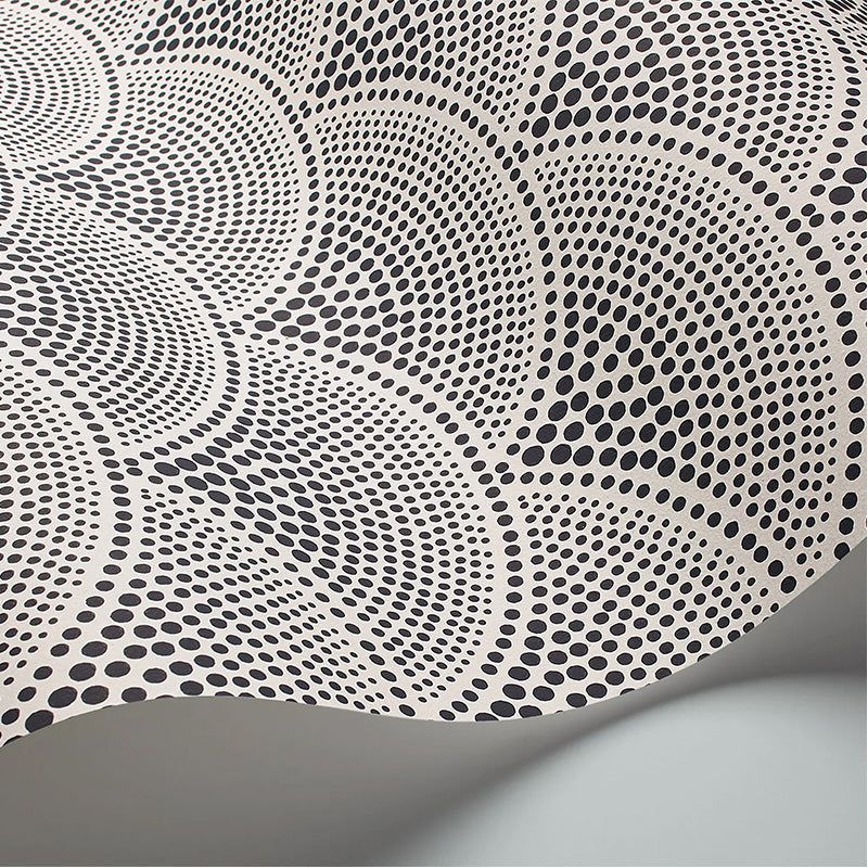 Carta da Parati "FEATHER FAN BIANCO & NERO" The Contemporary | COLE & SON