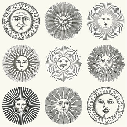 Carta da Parati "SOLI BIANCO & NERO" Fornasetti | COLE & SON
