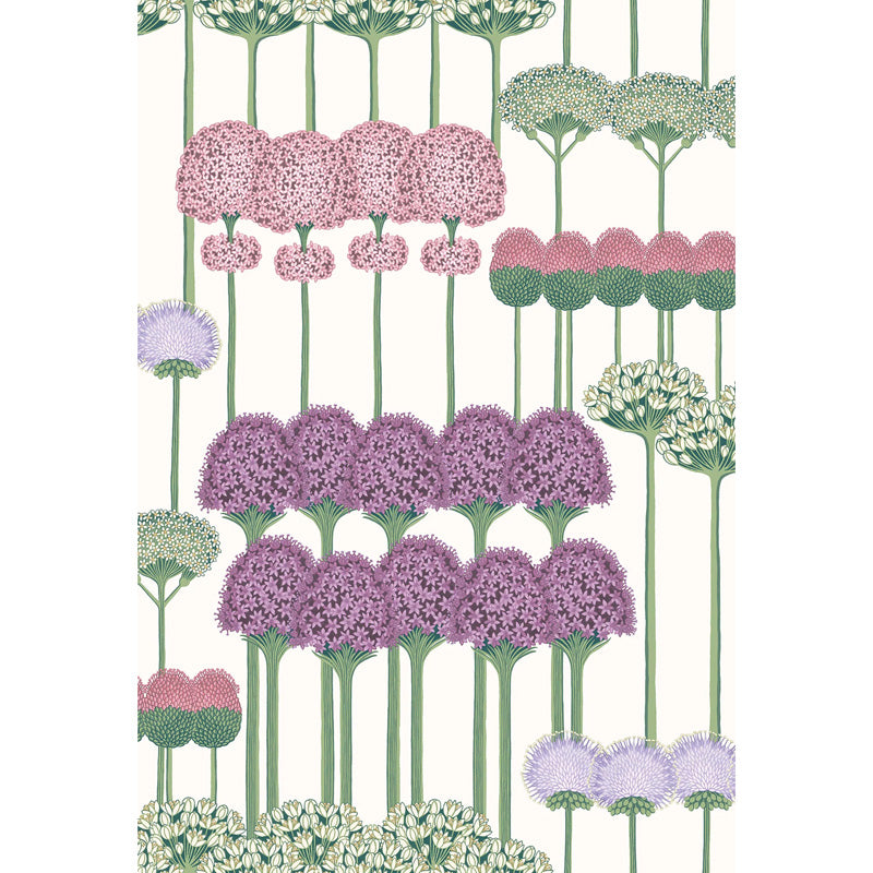 Carta da Parati "ALLIUM ROSA" Botanical | COLE & SON