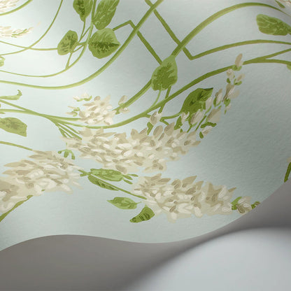 Carta da Parati "WISTERIA BIANCO" Botanical | COLE & SON