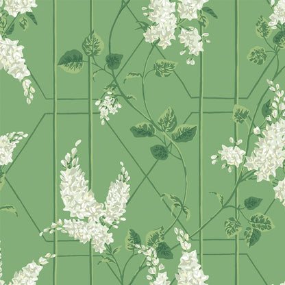 Carta da Parati "WISTERIA VERDE" Botanical | COLE & SON