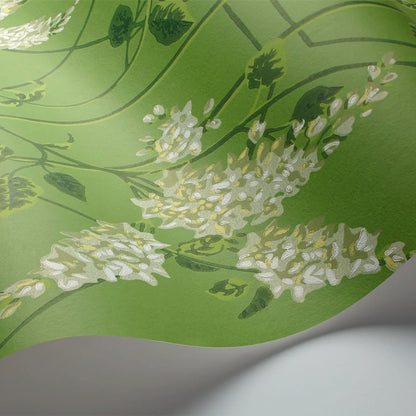 Carta da Parati "WISTERIA VERDE" Botanical | COLE & SON