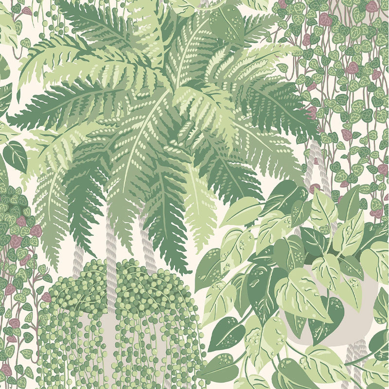 Carta da Parati "FERN VERDE" Botanical | COLE & SON