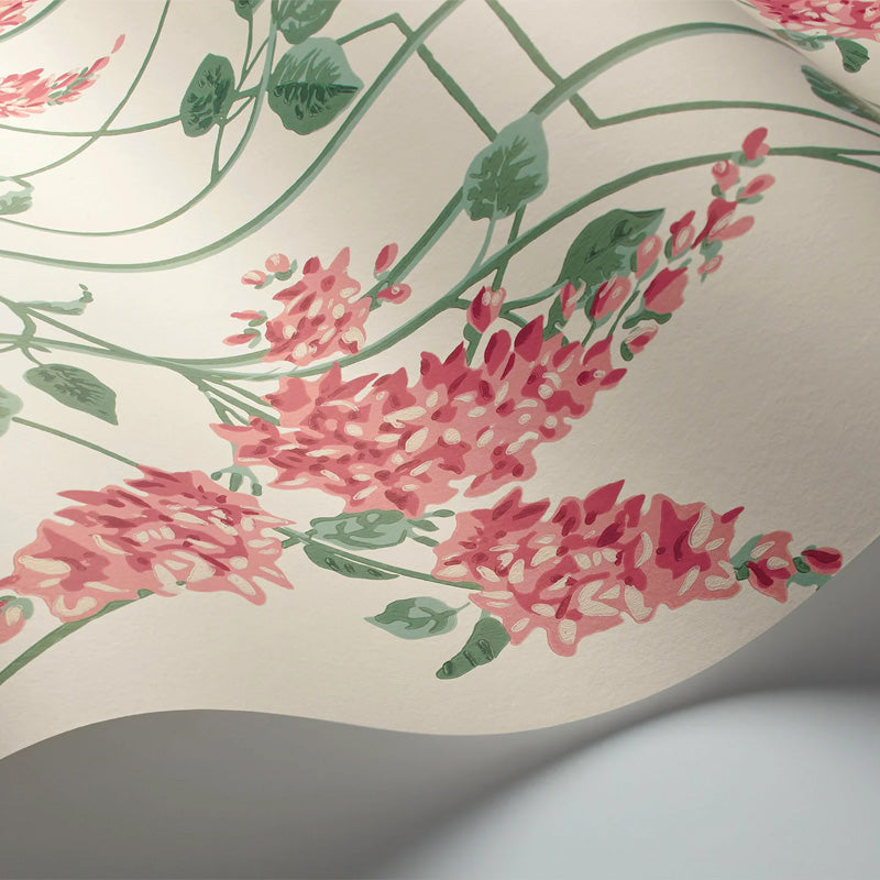 Carta da Parati "WISTERIA ROSA" Botanical | COLE & SON
