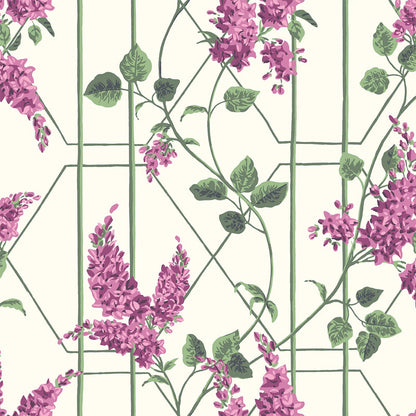 Carta da Parati "WISTERIA VIOLA" Botanical | COLE & SON