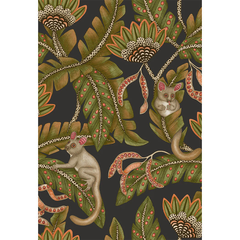 Carta da Parati "BUSH BABY NERO" Jabula-Ardmore | COLE & SON