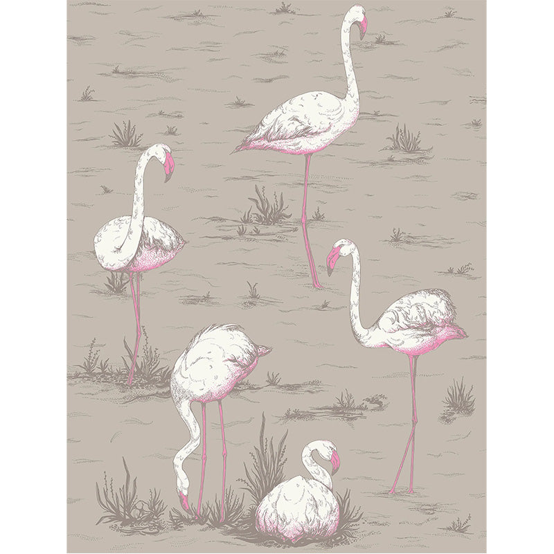 Carta da Parati "FLAMINGOS BIANCO & ROSA" The Contemporary | COLE & SON