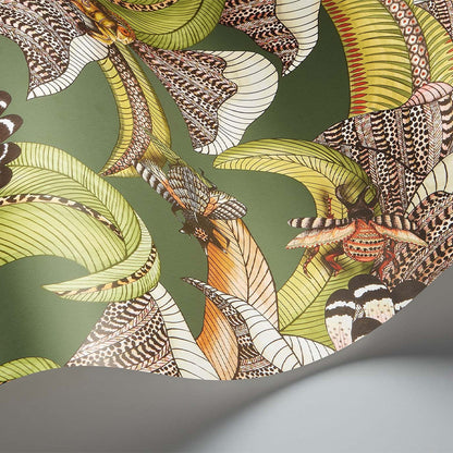 Carta da Parati "HOOPOE LEAVES VERDE" Jabula-Ardmore | COLE & SON