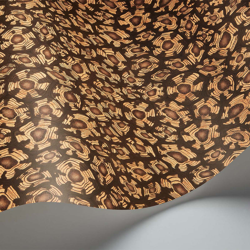 Carta da Parati "SAVANNA SHELL MARRONE" Jabula-Ardmore | COLE & SON