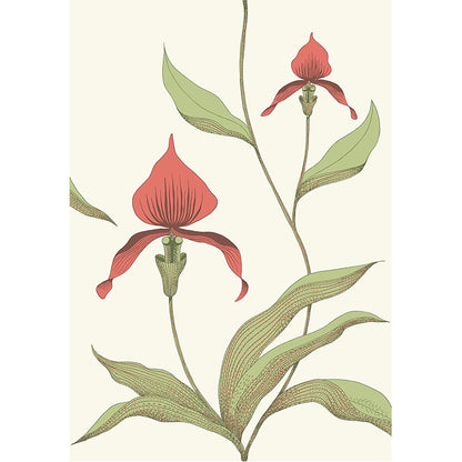 Carta da Parati "ORCHID BIANCO & ROSSO" The Contemporary | COLE & SON