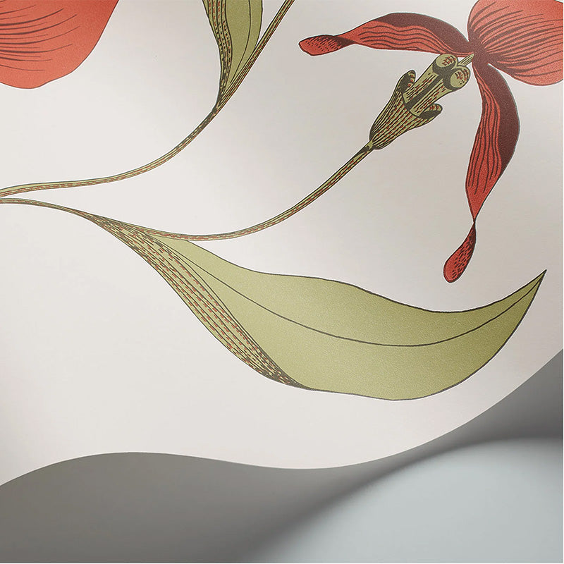 Carta da Parati "ORCHID BIANCO & ROSSO" The Contemporary | COLE & SON