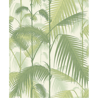 Carta da Parati "PALM JUNGLE BIANCO & VERDE" The Contemporary | COLE & SON