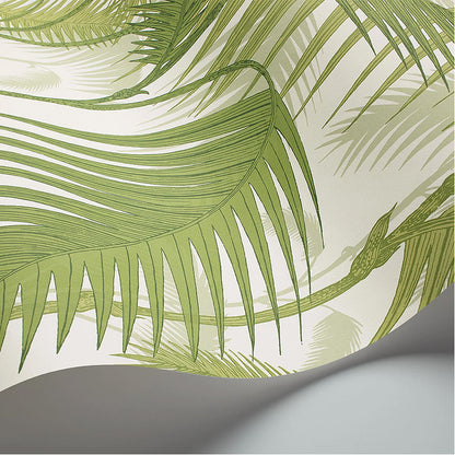 Carta da Parati "PALM JUNGLE BIANCO & VERDE" The Contemporary | COLE & SON