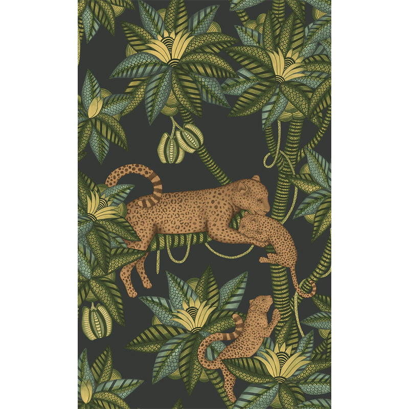 Carta da Parati "SATARA GRIGIO SCURO" Jabula-Ardmore | COLE & SON