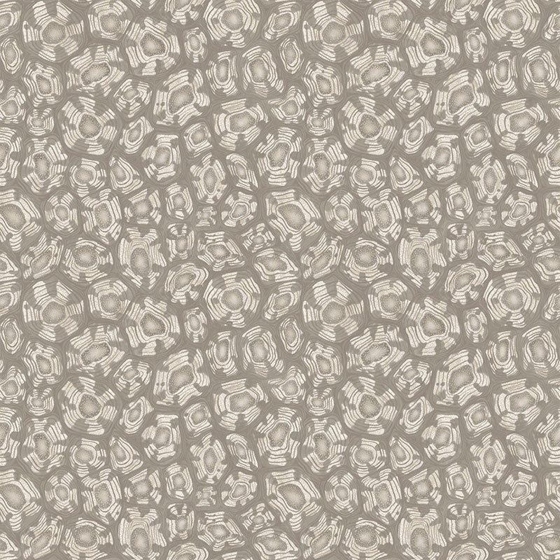 Carta da Parati "SAVANNA SHELL GRIGIO CHIARO" Jabula-Ardmore | COLE & SON