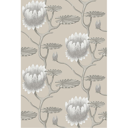 Carta da Parati "SUMMER LILY BEIGE & BIANCO" The Contemporary | COLE & SON