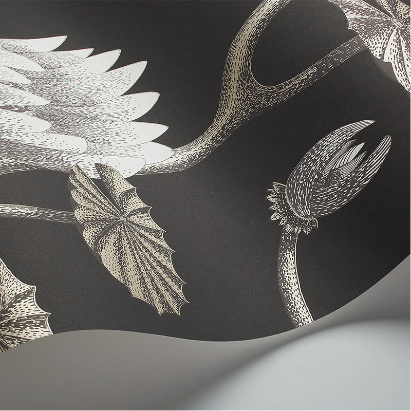 Carta da Parati "SUMMER LILY NERO & BIANCO " The Contemporary | COLE & SON