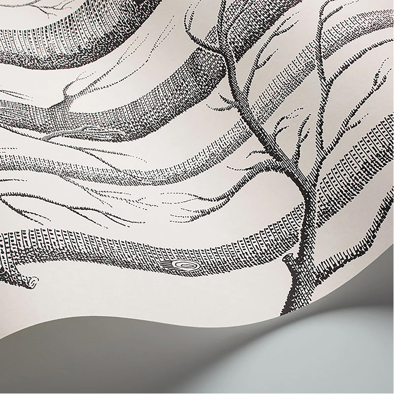 Carta da Parati "WOODS BIANCO & NERO" The Contemporary | COLE & SON