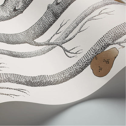 Carta da Parati "WOODS & PEARS BIANCO & NERO" The Contemporary | COLE & SON