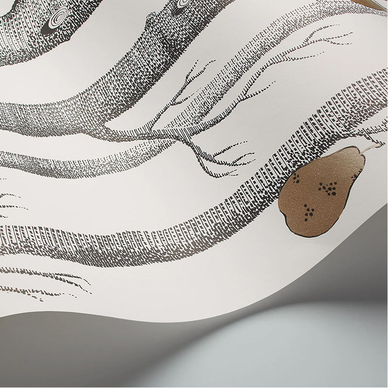 Carta da Parati "WOODS & PEARS BIANCO & NERO" The Contemporary | COLE & SON