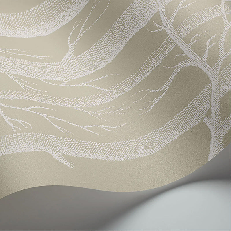 Carta da Parati "WOODS TORTORA & BIANCO" The Contemporary | COLE & SON