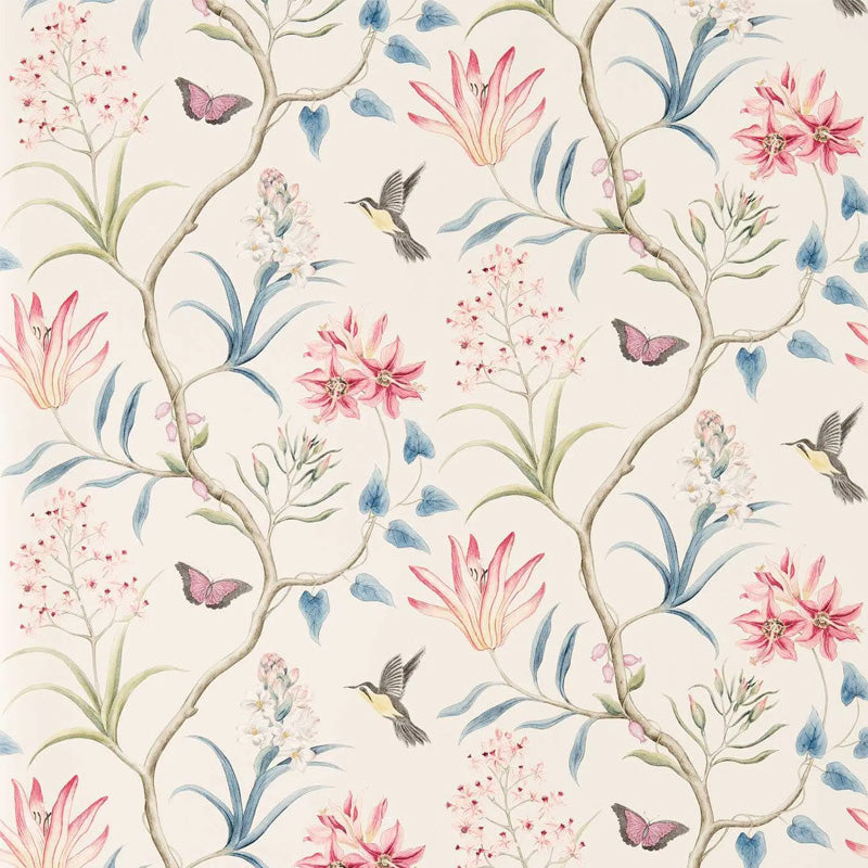Carta da parati "Clementine Rosa" - Curios - SANDERSON