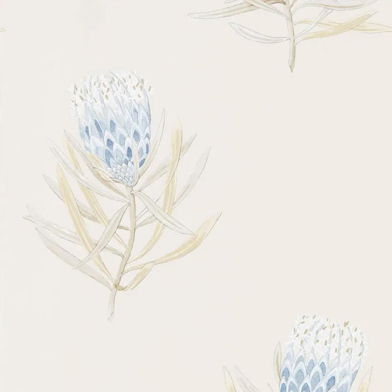 Carta da parati "Protea Flower Blu" - Curios - SANDERSON