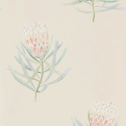 Carta da parati "Protea Flower Pesca" - Curios - SANDERSON