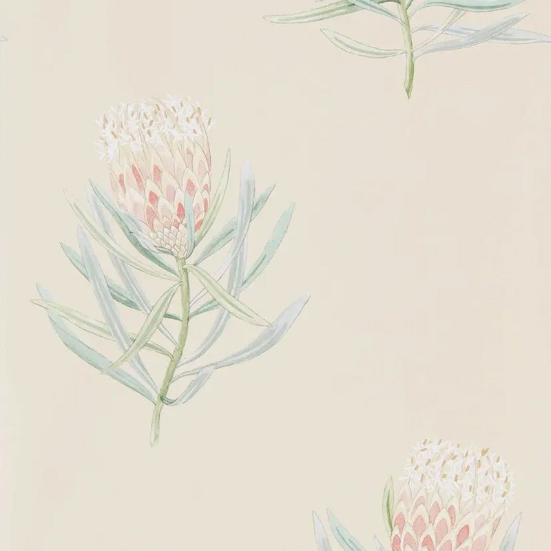 Carta da parati "Protea Flower Pesca" - Curios - SANDERSON