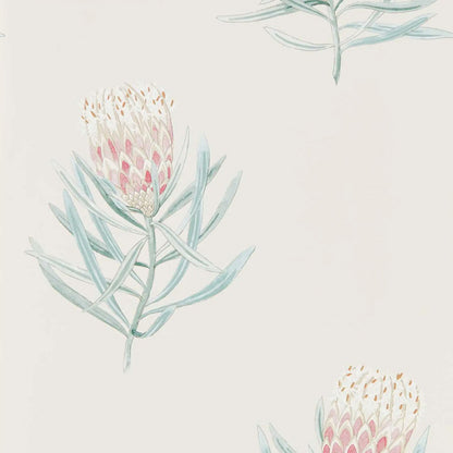 Carta da parati "Protea Flower Rosa" - Curios - SANDERSON