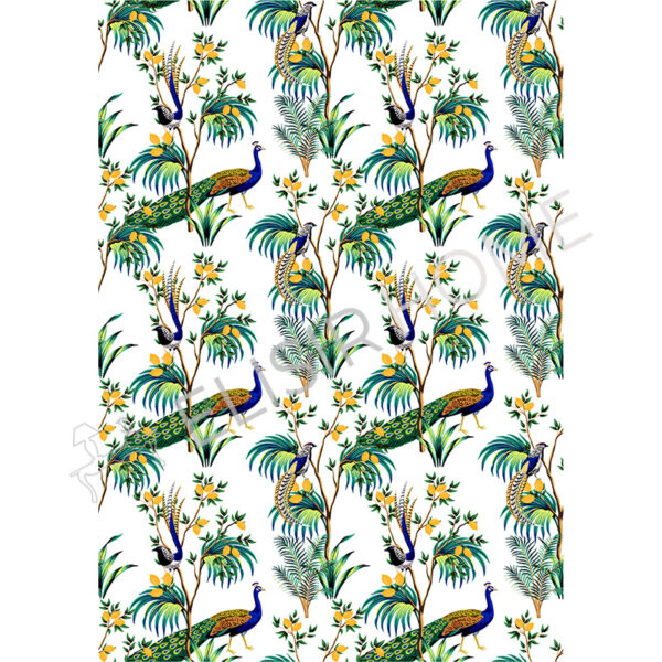 Stampa Trasferibile "SICILY TIME, CITRUS AND PEACOCKS" 28x40 cm