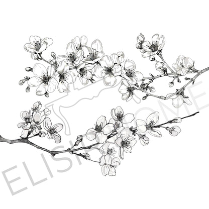 Stampa Trasferibile "FLORA & FAUNA - FIORI DI CILIEGIO" 28x40 cm