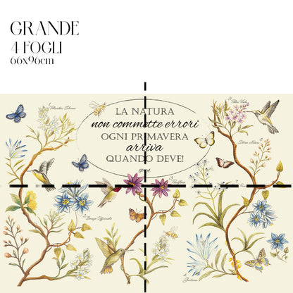 Dècoupage Botanical vintage - Natura in primavera
