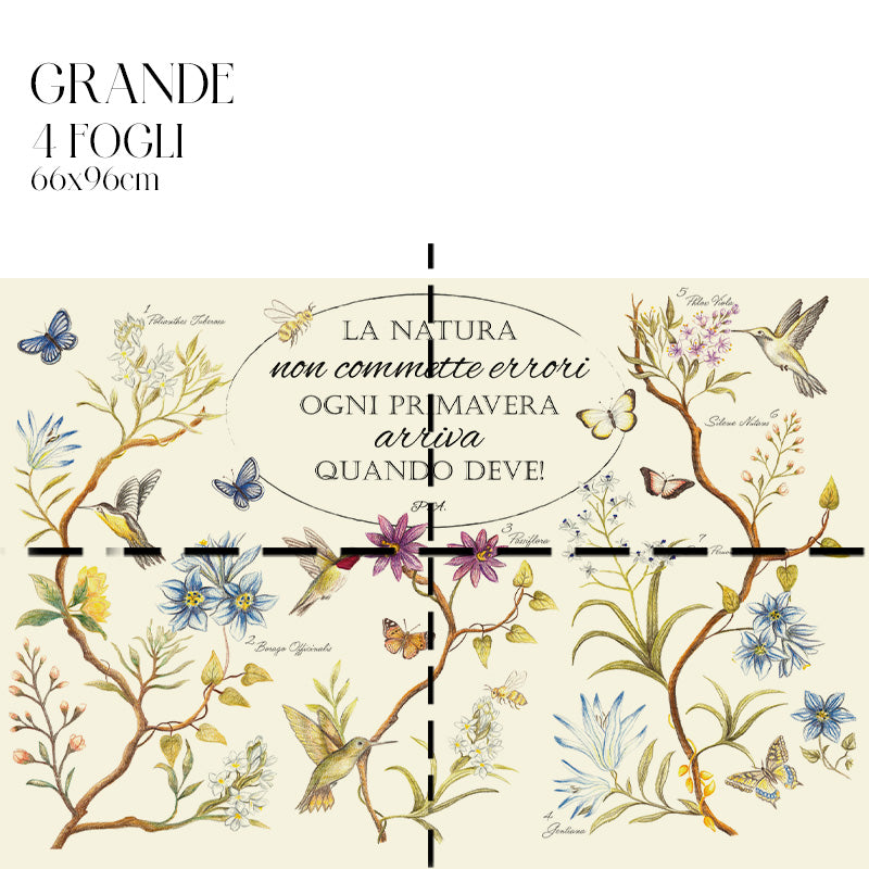 Dècoupage Botanical vintage - Natura in primavera