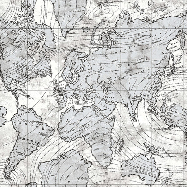 Tapete „Planisphere Grau“ nach Meter oder Rolle