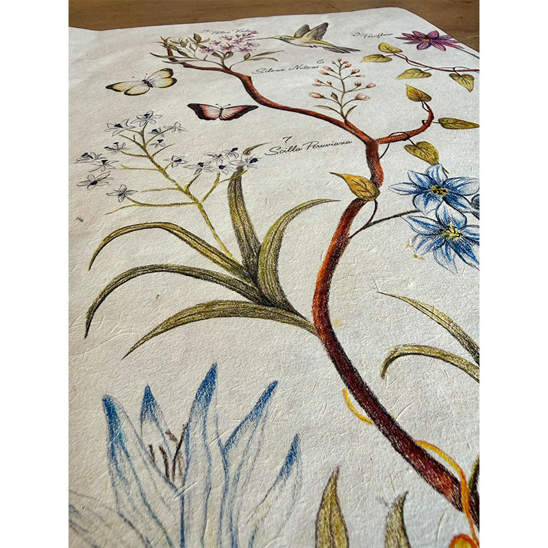 Découpage « Temps pour la magie »