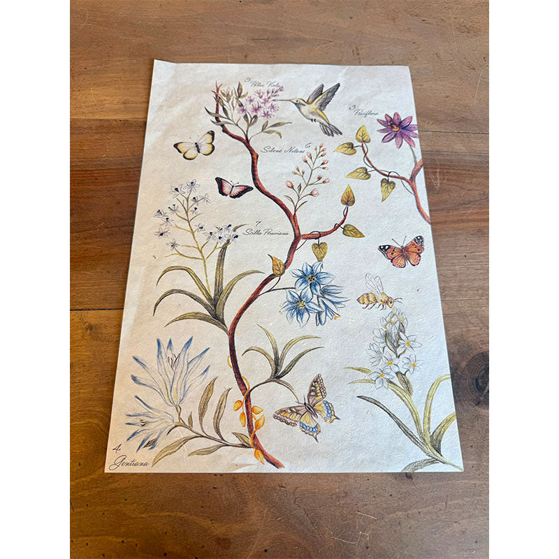 Découpage « Temps pour la magie »