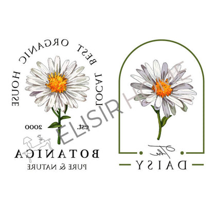 Stampa Trasferibile “SCRIPT, DAISY” 28×40 cm