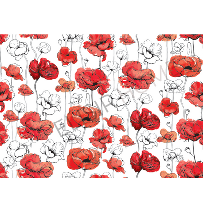 Stampa Trasferibile "FLORA & FAUNA - PAPAVERI" 28x40 cm