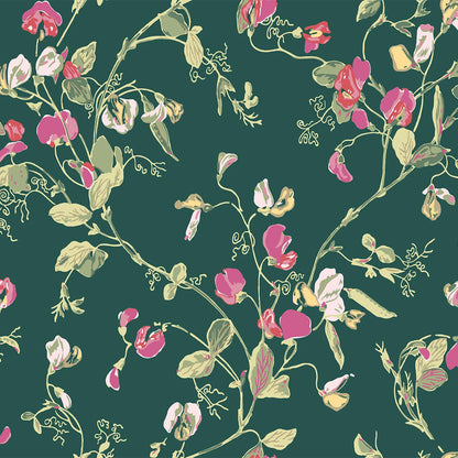 Carta da Parati "SWEET PEA VERDE" Botanical | COLE & SON