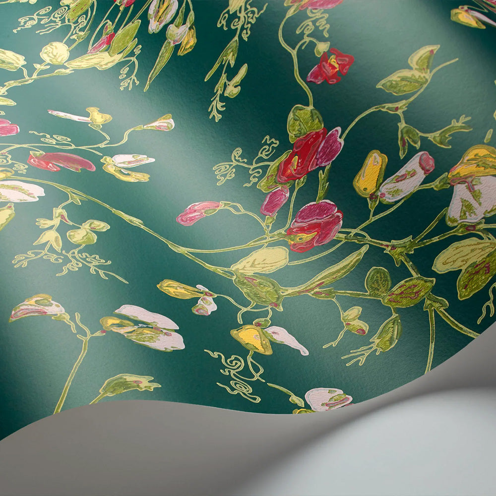 Carta da Parati "SWEET PEA VERDE" Botanical | COLE & SON