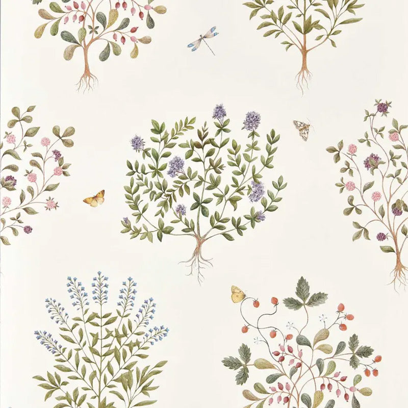 Carta da parati "Thyme Walk" - Highgrove - SANDERSON