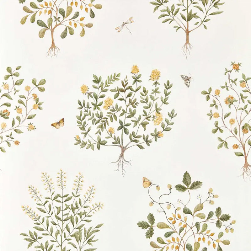 Carta da parati "Thyme Walk gialla" - Highgrove - SANDERSON