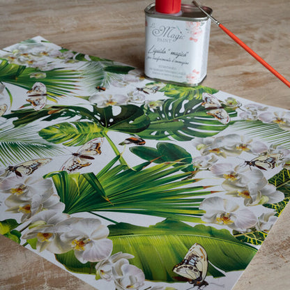 Stampa Trasferibile "FLORA & FAUNA, TROPICAL ORCHID" 28X40 cm