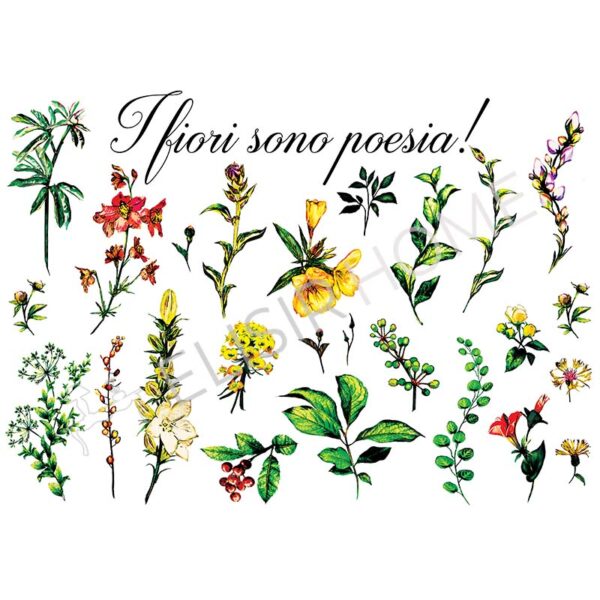 Stampa Trasferibile "PRIMAVERA, POESIA DI FIORI" 28X40 cm