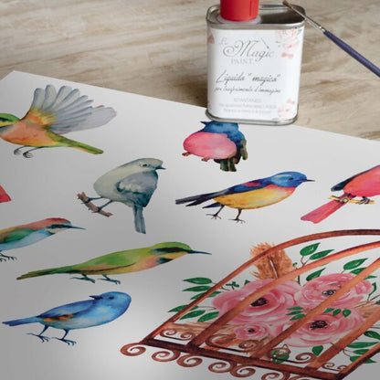 Stampa Trasferibile "PRIMAVERA, RAINBOW BIRDS" 28X40 cm